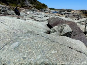The shoreline with rocks of pyroclastic breccia north of Louisbourg Lighthose in Cape Breton in Nova Scotia