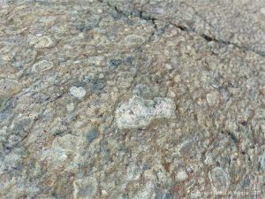 Angular rock fragments embedded in a volcanic ash matrix from a pyroclastic flow in Cape Breton Island