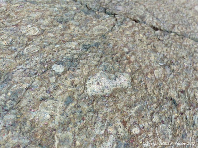 Angular rock fragments embedded in a volcanic ash matrix from a pyroclastic flow in Cape Breton Island