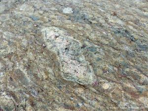 Angular rock fragments embedded in a volcanic ash matrix from a pyroclastic flow in Cape Breton Island