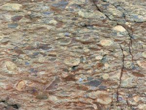 Angular rock fragments embedded in a volcanic ash matrix from a pyroclastic flow in Cape Breton Island