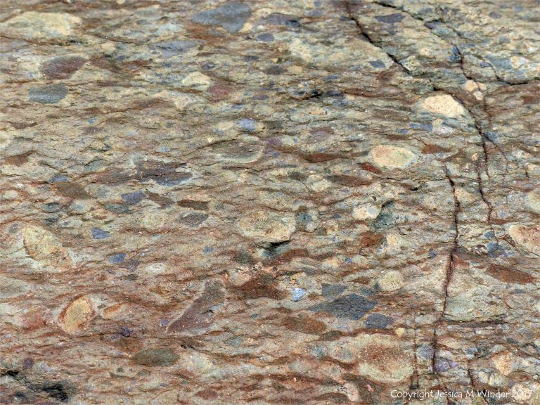 Angular rock fragments embedded in a volcanic ash matrix from a pyroclastic flow in Cape Breton Island