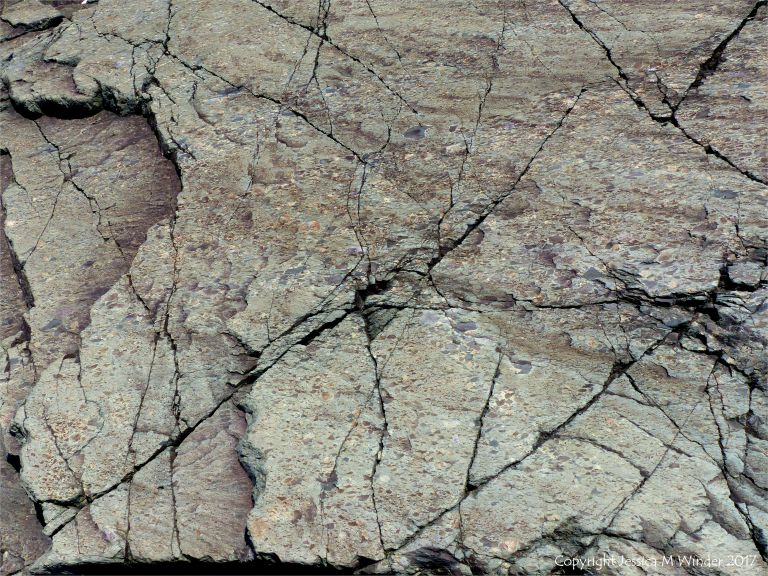 Angular rock fragments embedded in a volcanic ash matrix from a pyroclastic flow in Cape Breton Island