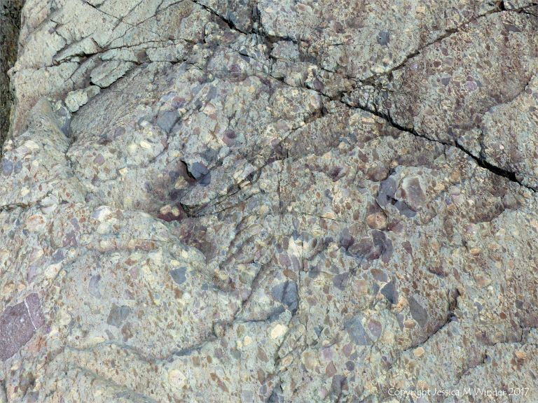 Angular rock fragments embedded in a volcanic ash matrix from a pyroclastic flow in Cape Breton Island