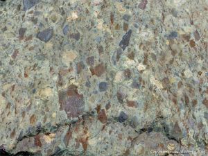 Angular rock fragments embedded in a volcanic ash matrix from a pyroclastic flow in Cape Breton Island