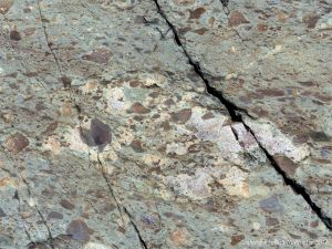 Angular rock fragments embedded in a volcanic ash matrix from a pyroclastic flow in Cape Breton Island