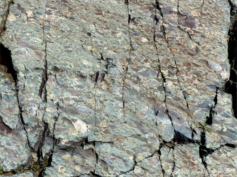 Angular rock fragments embedded in a volcanic ash matrix from a pyroclastic flow in Cape Breton Island
