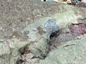 Angular rock fragments embedded in a volcanic ash matrix from a pyroclastic flow in Cape Breton Island