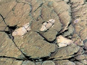 Angular rock fragments embedded in a volcanic ash matrix from a pyroclastic flow in Cape Breton Island