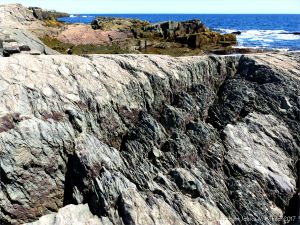 Angular rock fragments embedded in a volcanic ash matrix from a pyroclastic flow in Cape Breton Island