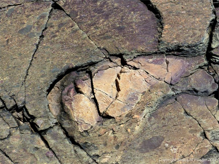 Angular rock fragments embedded in a volcanic ash matrix from a pyroclastic flow in Cape Breton Island