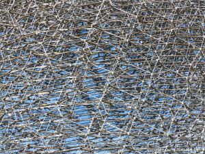 The Hive installation and experience at Kew Gardens, London.