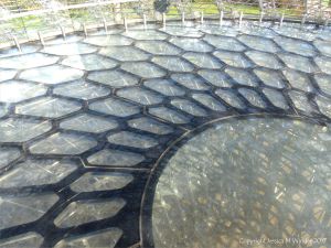 The Hive installation and experience at Kew Gardens, London.