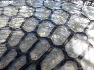 The Hive installation and experience at Kew Gardens, London.