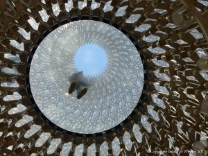 The Hive installation and experience at Kew Gardens, London.