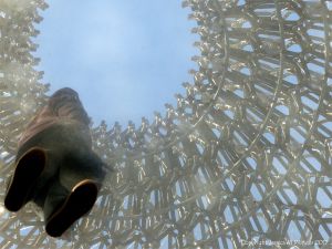 The Hive installation and experience at Kew Gardens, London.