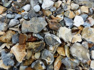 Beach stones derived from the chalk cliffs at South Beach, Studland, Dorset, England.