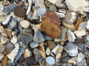 Beach stones derived from the chalk cliffs at South Beach, Studland, Dorset, England.