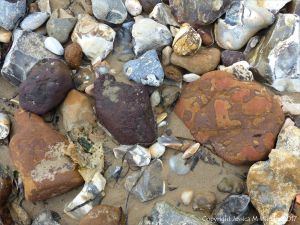 Beach stones derived from the chalk cliffs at South Beach, Studland, Dorset, England.