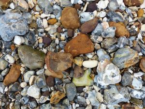 Beach stones derived from the chalk cliffs at South Beach, Studland, Dorset, England.