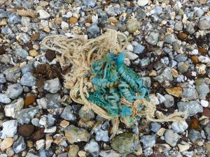 Beach stones derived from the chalk cliffs at South Beach, Studland, Dorset, England.