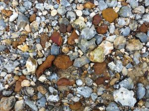 Beach stones derived from the chalk cliffs at South Beach, Studland, Dorset, England.