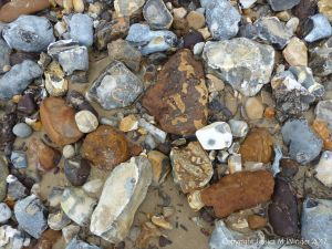 Beach stones derived from the chalk cliffs at South Beach, Studland, Dorset, England.