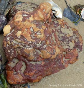 Close-up of beach stone with interesting pattern and texture