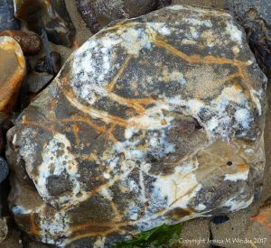Close-up of beach stone with interesting pattern and texture