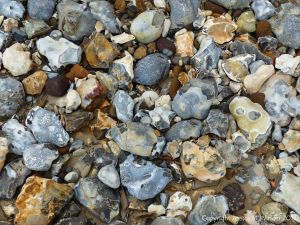 Beach stones derived from the chalk cliffs at South Beach, Studland, Dorset, England.