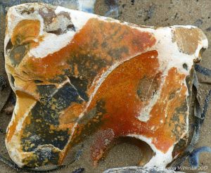 Close-up of beach stone with interesting pattern and texture