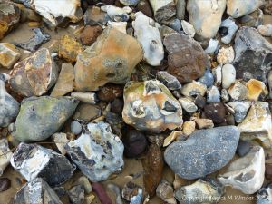 Beach stones derived from the chalk cliffs at South Beach, Studland, Dorset, England.