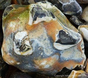 Close-up of beach stone with interesting pattern and texture