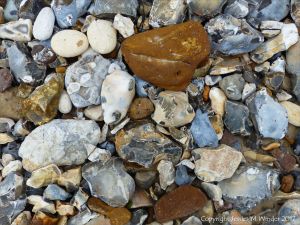 Beach stones derived from the chalk cliffs at South Beach, Studland, Dorset, England.