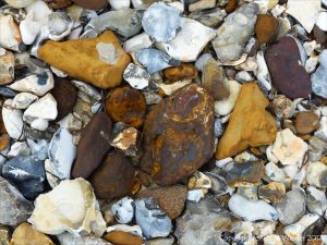 Beach stones derived from the chalk cliffs at South Beach, Studland, Dorset, England.