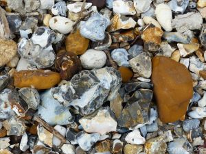 Beach stones derived from the chalk cliffs at South Beach, Studland, Dorset, England.