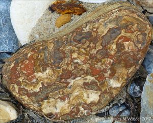 Close-up of beach stone with interesting pattern and texture