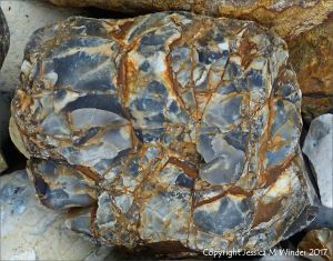 Close-up of beach stone with interesting pattern and texture
