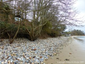 South Beach, Studland showing effects of erosion
