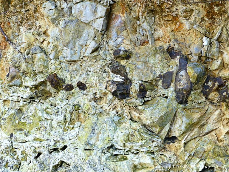 Line of flint nodules embedded in chalk
