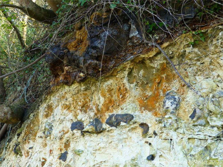 Line of flint nodules embedded in chalk