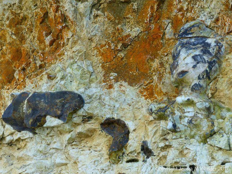 Line of flint nodules embedded in chalk