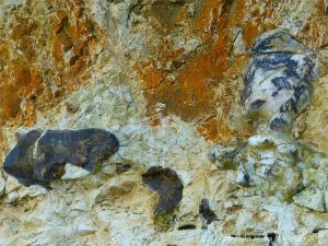 Line of flint nodules embedded in chalk