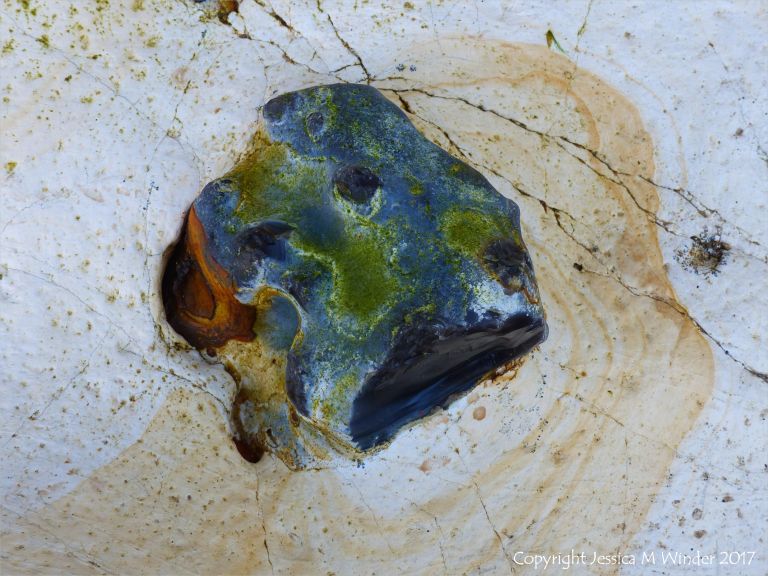 Flint nodule embedded in chalk