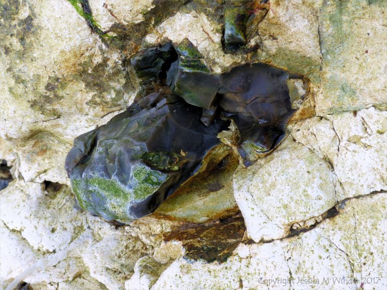 Flint nodule embedded in chalk