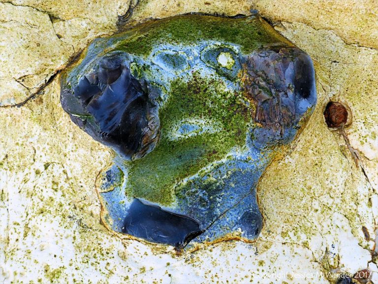 Flint nodule embedded in chalk