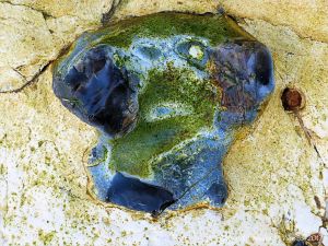 Flint nodule embedded in chalk