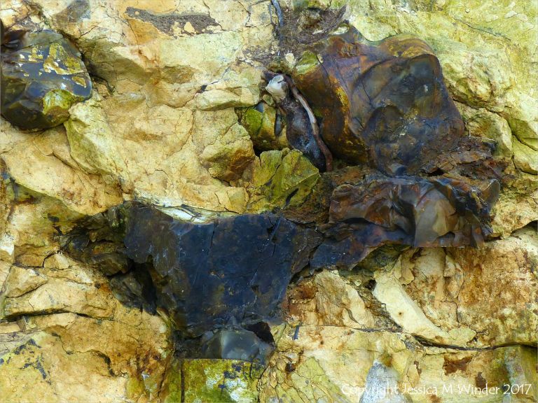 Flint nodule embedded in chalk