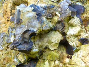 Flint nodule embedded in chalk