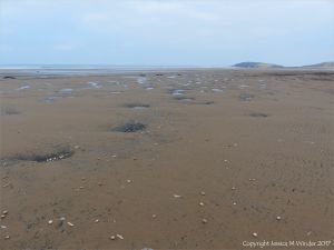 Sandy hollows scooped out of the shore at Rhossili